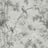 Bild von 